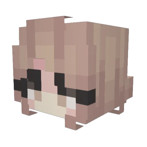 WizzFizzKidd Minecraft avatar head, 3D render