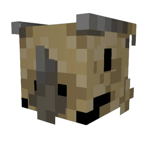 Wizzaleo Minecraft avatar head, 3D render