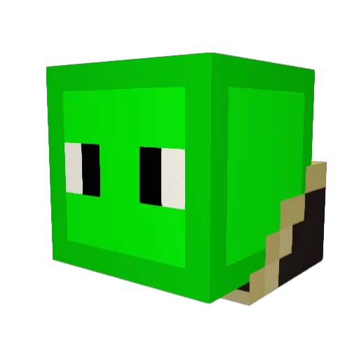 WizzardNick Minecraft avatar head, 3D render
