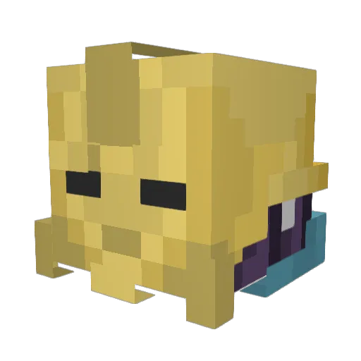 Wizzeroo Minecraft avatar head, 3D render