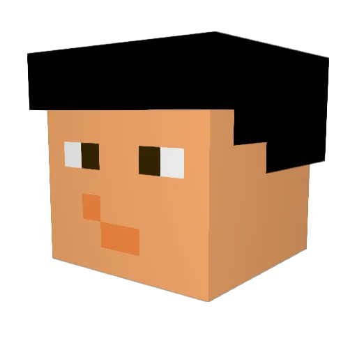 Wizzl14 Minecraft avatar head, 3D render