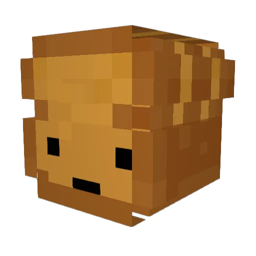 Wladnothere Minecraft avatar head, 3D render