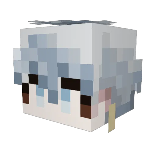 Wlals136 Minecraft avatar head, 3D render
