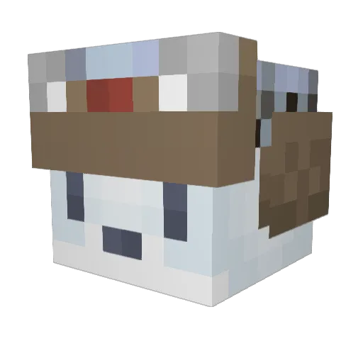 WlcmWlcm Minecraft avatar head, 3D render