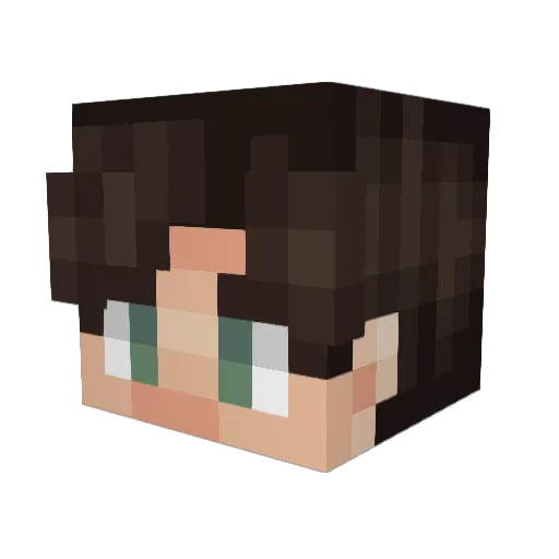 WlmWinkler Minecraft avatar head, 3D render