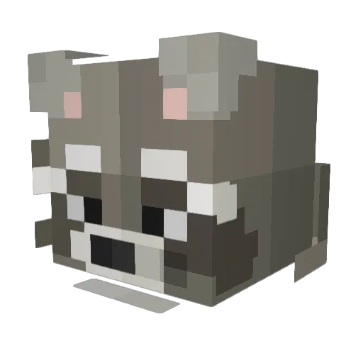 Wlorian Minecraft avatar head, 3D render