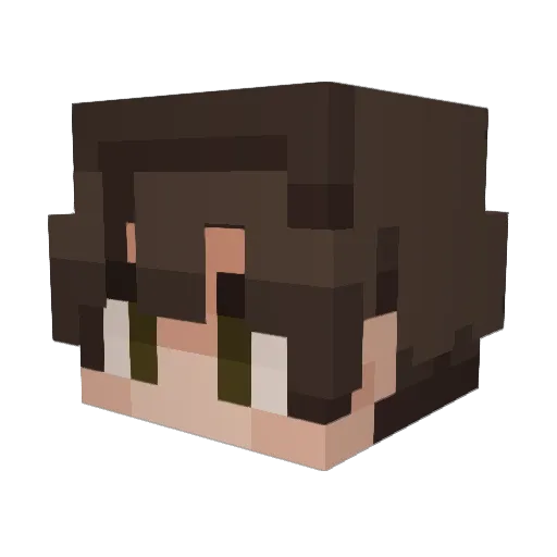 Wmpir3nergetycny Minecraft avatar head, 3D render