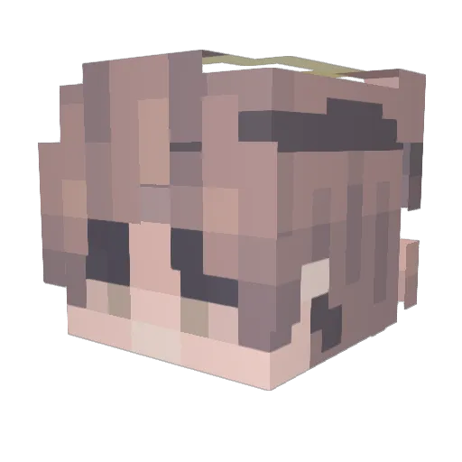 WnkDager Minecraft avatar head, 3D render