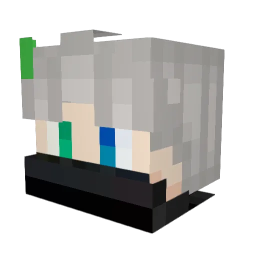 Wnter25 Minecraft avatar head, 3D render