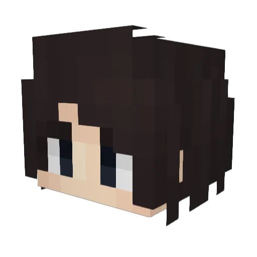 Wnxi_6 Minecraft avatar head, 3D render