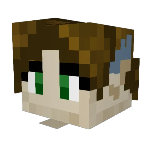 Wo1fster Minecraft avatar head, 3D render