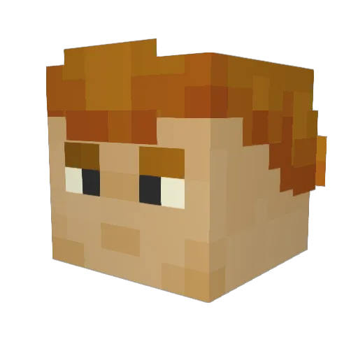 Wo4er_ Minecraft avatar head, 3D render