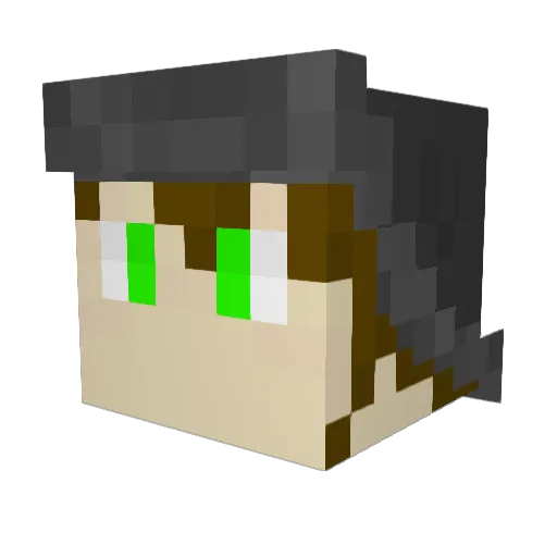 WoF_fan67 Minecraft avatar head, 3D render