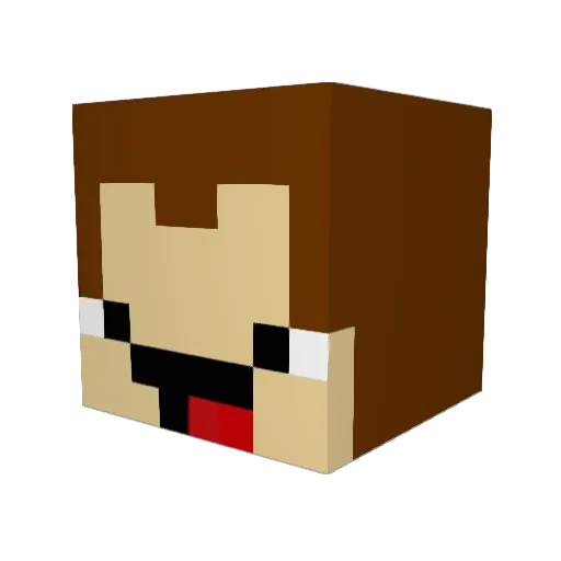 WoLaaa Minecraft avatar head, 3D render