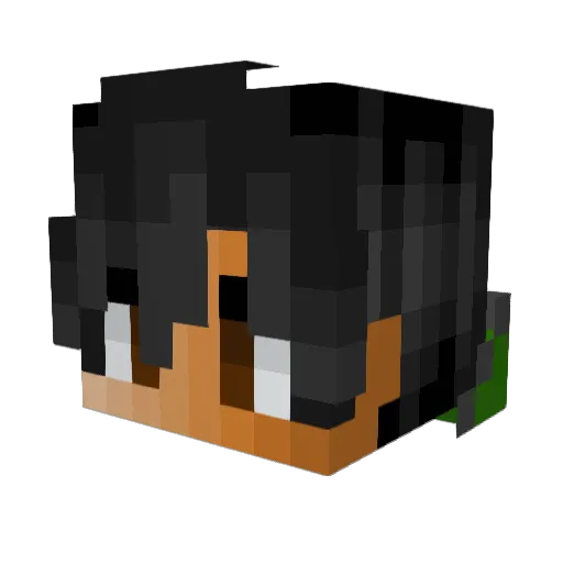 WoWaWi Minecraft avatar head, 3D render