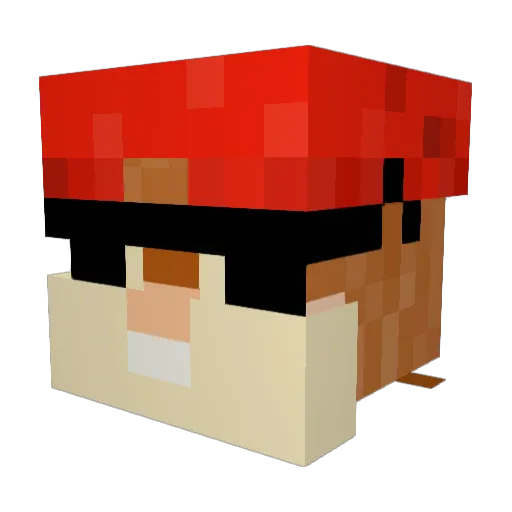 Wo_ry Minecraft avatar head, 3D render