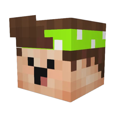 Woadiesag Minecraft avatar head, 3D render