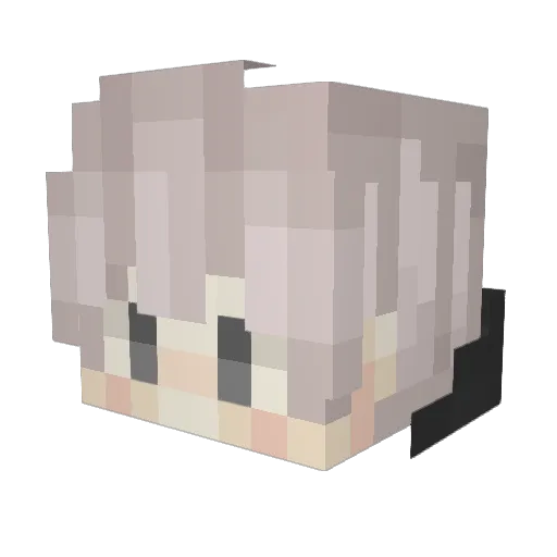Woag13 Minecraft avatar head, 3D render