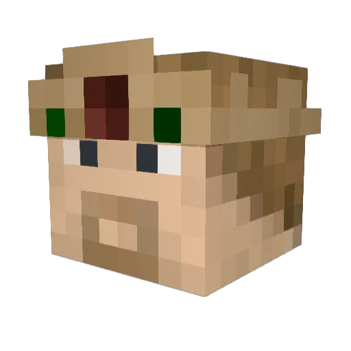 WoahItsChief Minecraft avatar head, 3D render
