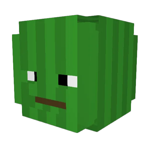 WoahNiceCrocs Minecraft avatar head, 3D render