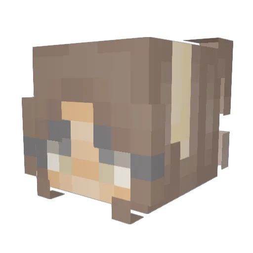 Woahleah Minecraft avatar head, 3D render
