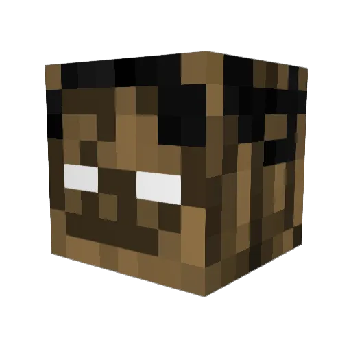 Woahsa Minecraft avatar head, 3D render