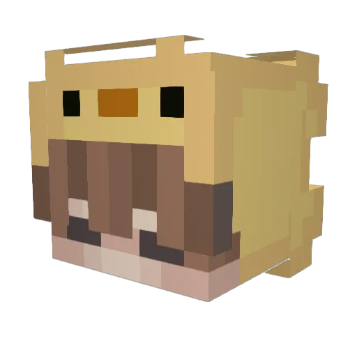 Woalswee Minecraft avatar head, 3D render