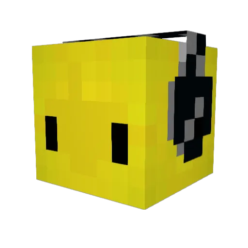 Wobble_boi Minecraft avatar head, 3D render