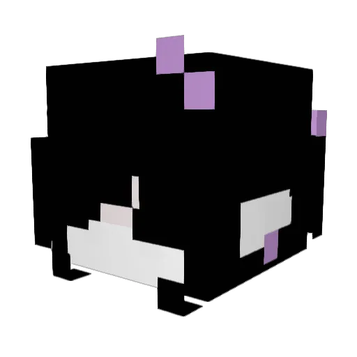 WobblyPeanut697 Minecraft avatar head, 3D render