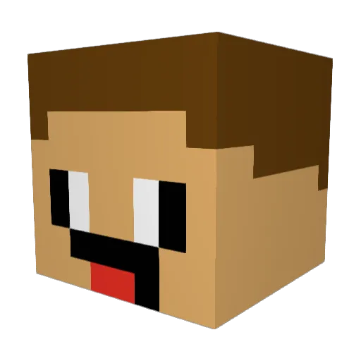 Wobblyrob22 Minecraft avatar head, 3D render