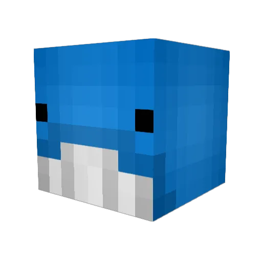 Wocky_Whale Minecraft avatar head, 3D render