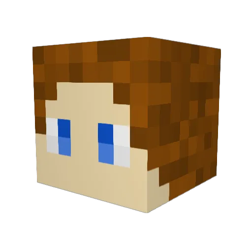 WoefulCat266655 Minecraft avatar head, 3D render
