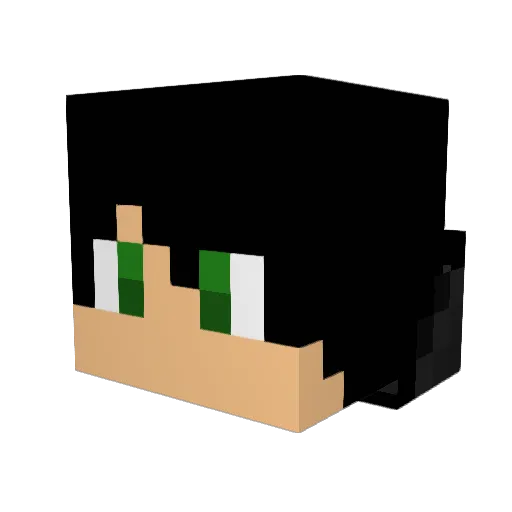 Woelflein0808 Minecraft avatar head, 3D render