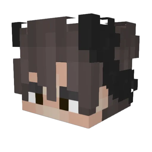 Woepan Minecraft avatar head, 3D render