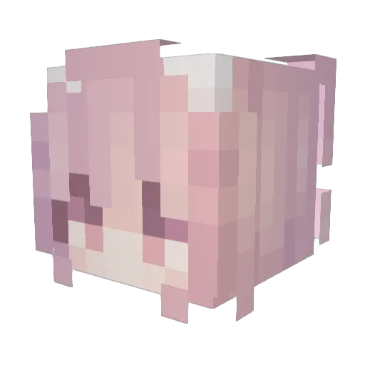 Woeshe Minecraft avatar head, 3D render