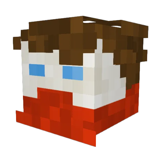 Wof3_ Minecraft avatar head, 3D render