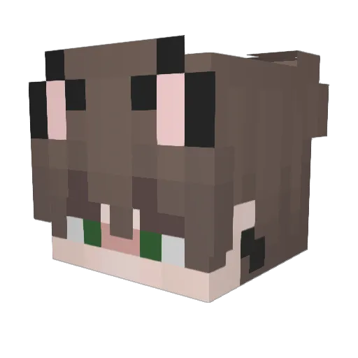 Woffle69 Minecraft avatar head, 3D render
