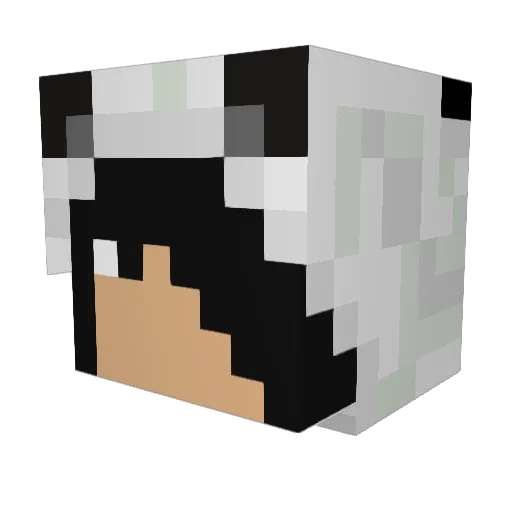 Wogey Minecraft avatar head, 3D render