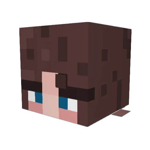 WogoiChan Minecraft avatar head, 3D render
