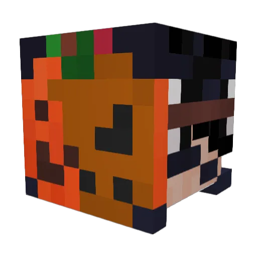 Woid_96 Minecraft avatar head, 3D render