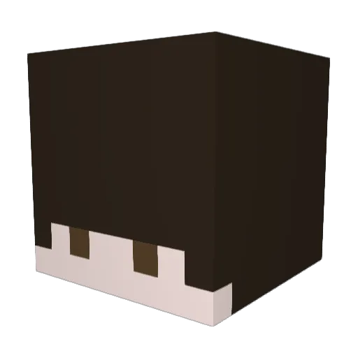Wojan12345 Minecraft avatar head, 3D render