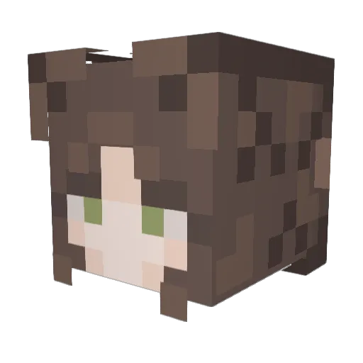 Wojcie000 Minecraft avatar head, 3D render