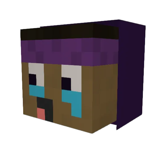 WojciechDestrukt Minecraft avatar head, 3D render