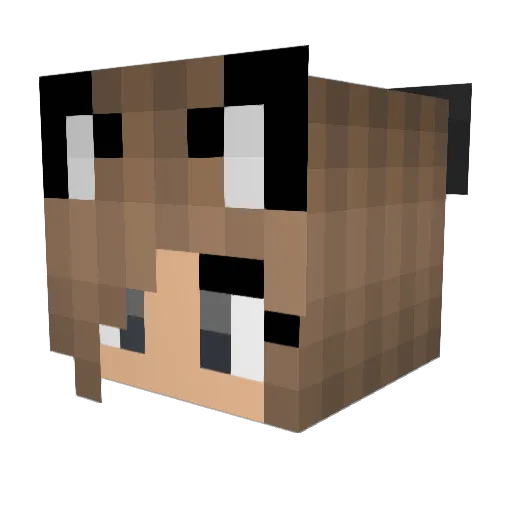 Wojiao_MeiMei Minecraft avatar head, 3D render
