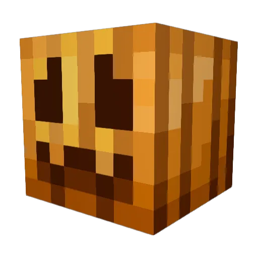 Wojtas1923 Minecraft avatar head, 3D render