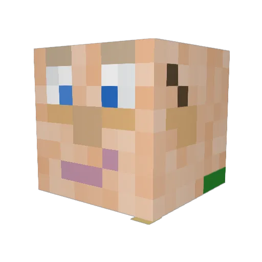 Wojtas456 Minecraft avatar head, 3D render