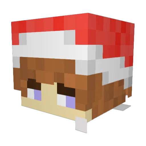 WojtasMachina Minecraft avatar head, 3D render