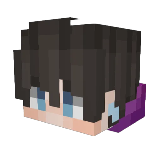 Wojtechu Minecraft avatar head, 3D render