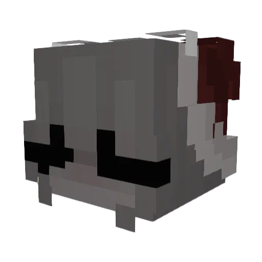 Wojtek006 Minecraft avatar head, 3D render