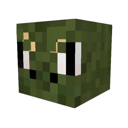 Wojtek201222 Minecraft avatar head, 3D render